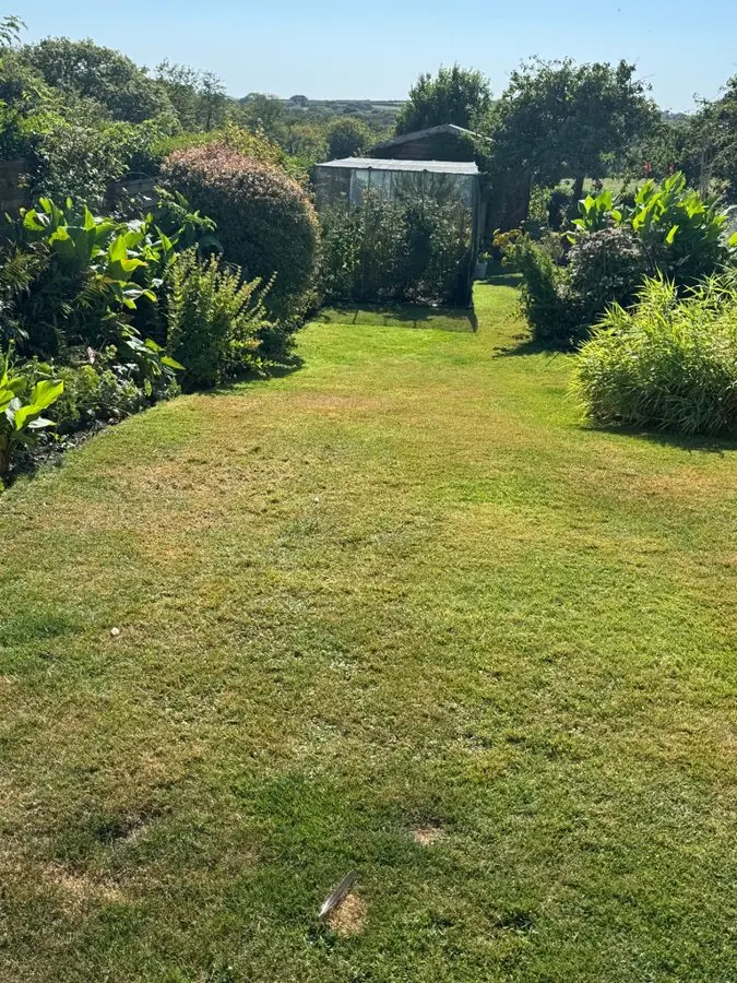 A long lawn between shrubs leading to a shed at the back, before the redesign