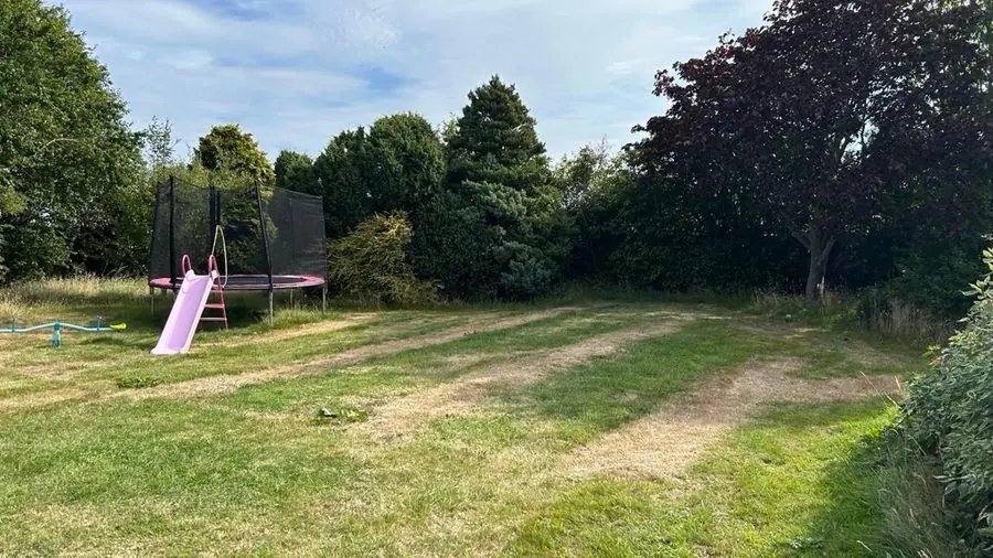 A worn lawn with a trampoline and slide by tall trees, before the redesign