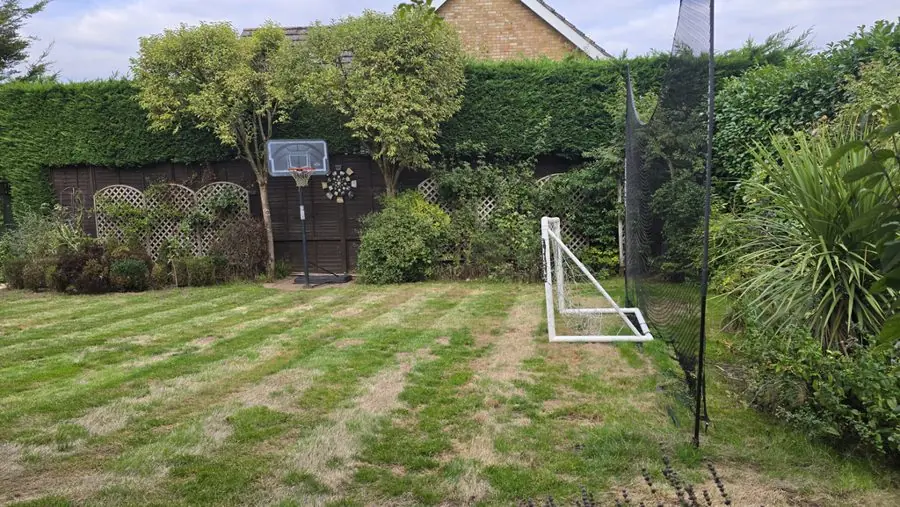 A striped lawn with a football goal and basketball hoop, before the redesign