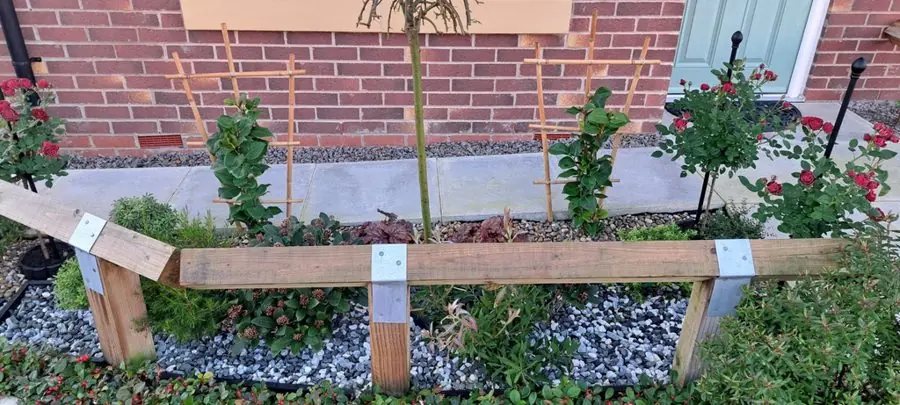 Gravel and young roses behind a timber rail by the front door, before the redesign