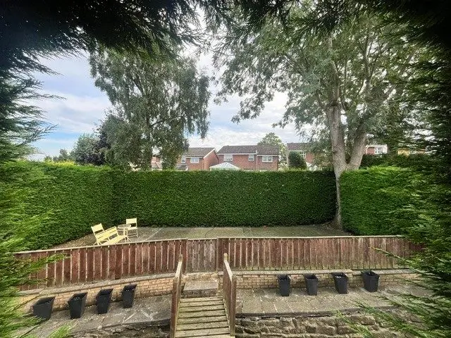 A bare terrace behind a low fence, with steps and black pots, before the redesign