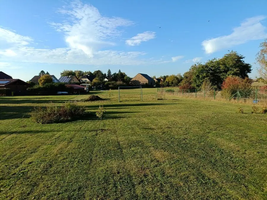 A big open lawn with a few shrubs and houses beyond, before the redesign