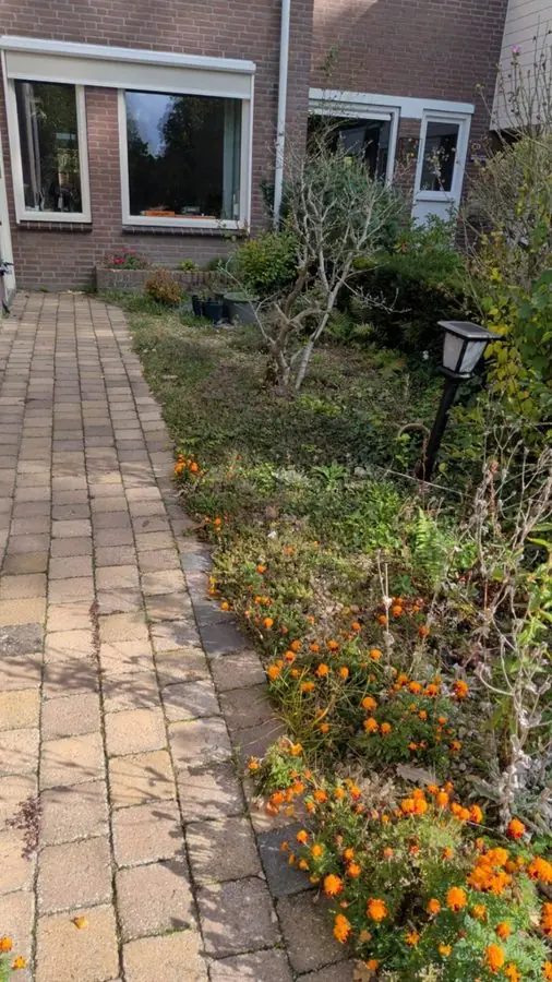 A block paved path beside a narrow bed of orange flowers, before the redesign