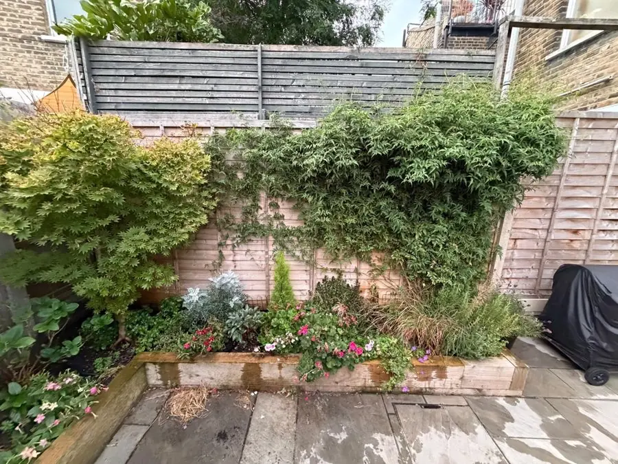 A timber raised bed of mixed plants against a fence, before the redesign
