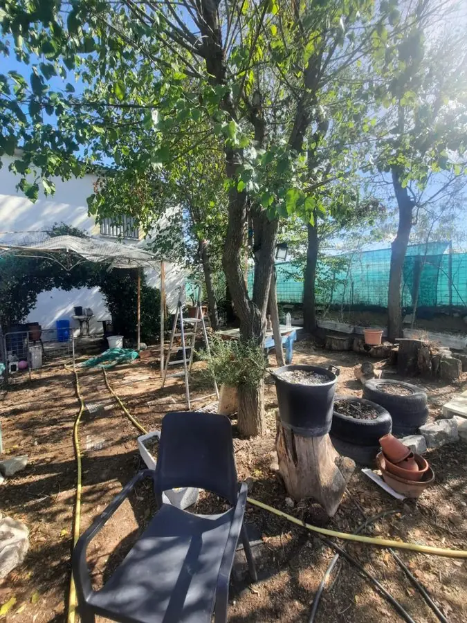 Bare ground under trees, cluttered with pots, chairs and a hose, before the redesign