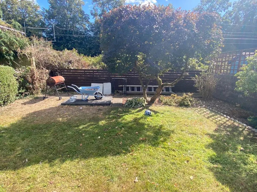 A dry lawn with a small tree, wheelbarrow and clutter behind, before the redesign