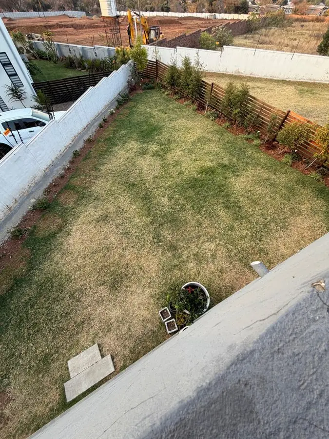 A dry lawn between a white wall and a fence, seen from upstairs, before the redesign