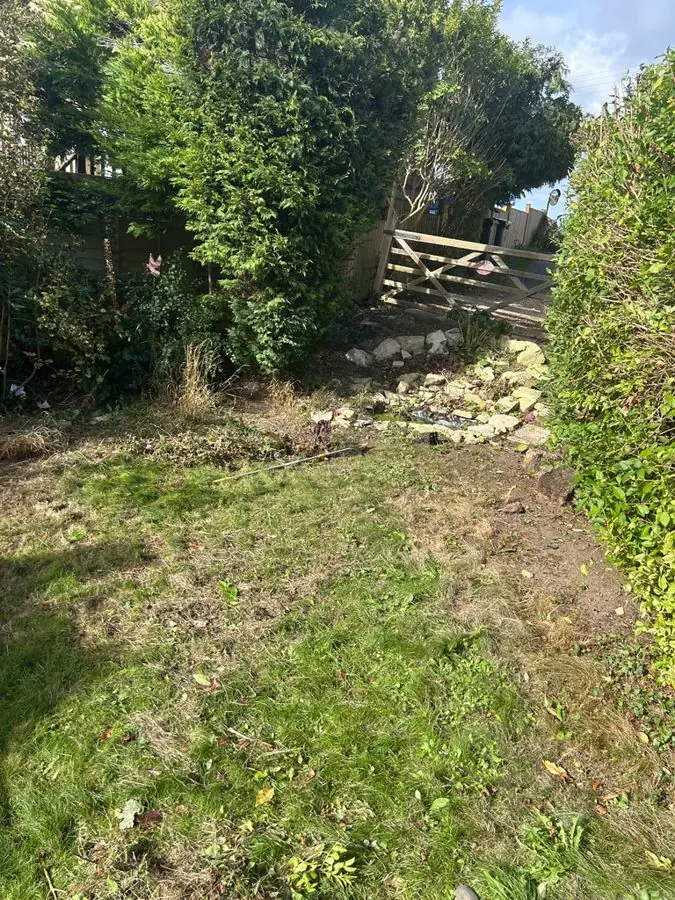 A rough, patchy lawn between hedges with a gate at the back, before the redesign