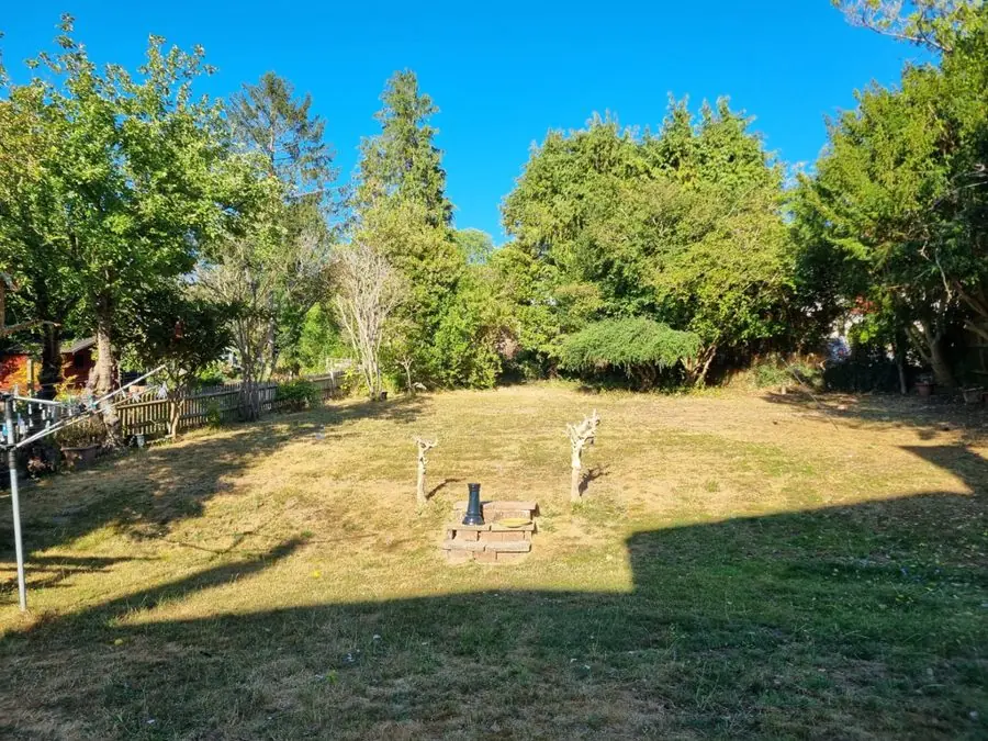 A dry, patchy lawn ringed by trees with a washing line, before the redesign