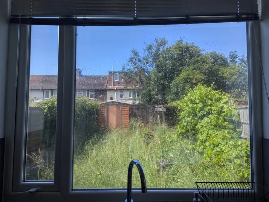 Long grass and overgrown shrubs seen through a kitchen window, before the redesign