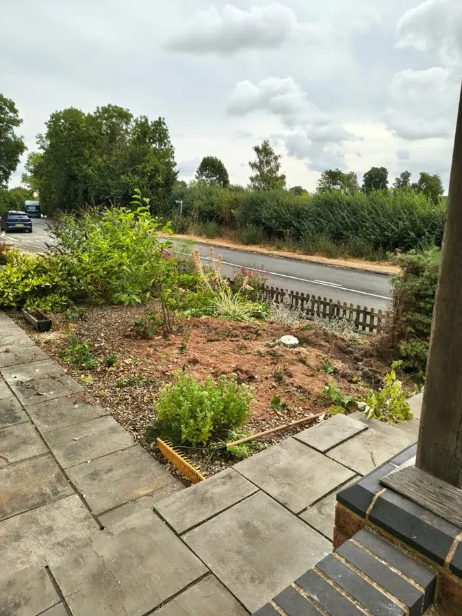 A sloping, mostly bare bed by a road beside paving and steps, before the redesign