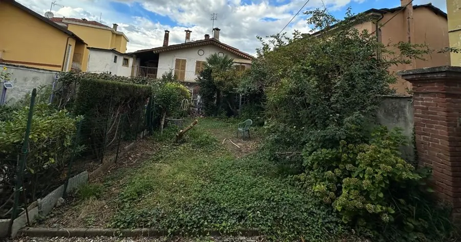 An overgrown, weedy plot between walls and tall shrubs, before the redesign