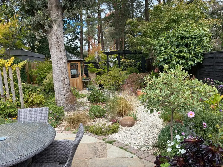 A gravel bed with stones under a tall tree beside a patio, before the redesign