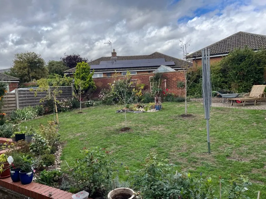 A lawn with young trees and a washing line, beds round the edge, before the redesign
