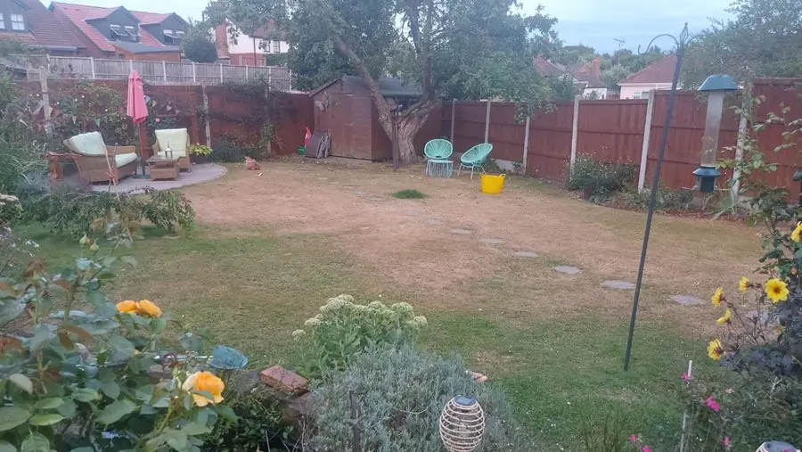 A dry brown lawn with fences, a shed and garden chairs, before the redesign