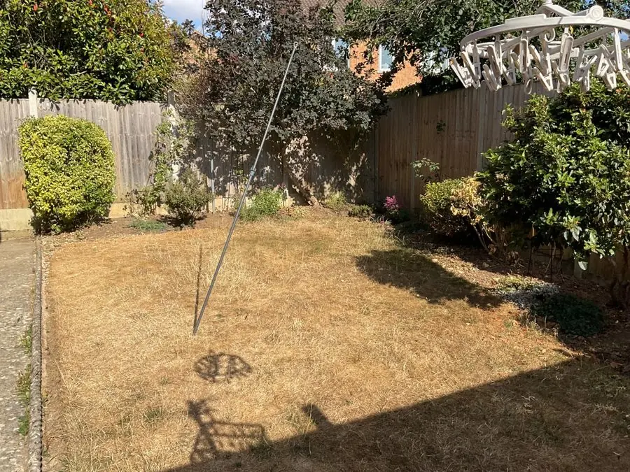 A dry brown lawn with a washing line, fence and shrubs, before the redesign