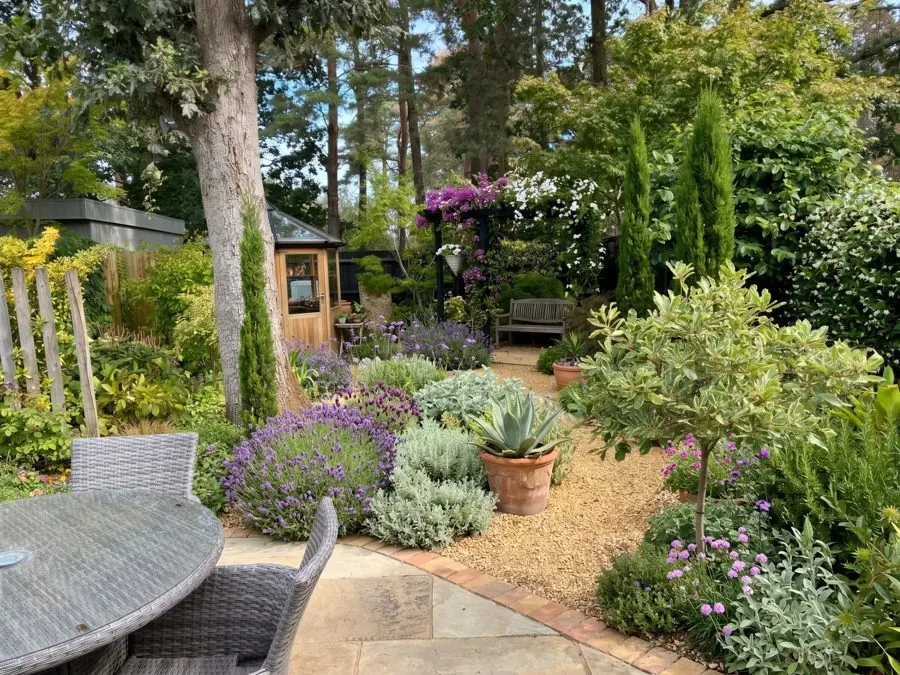 Agaves, lavender and terracotta pots by a patio, a Mediterranean garden idea