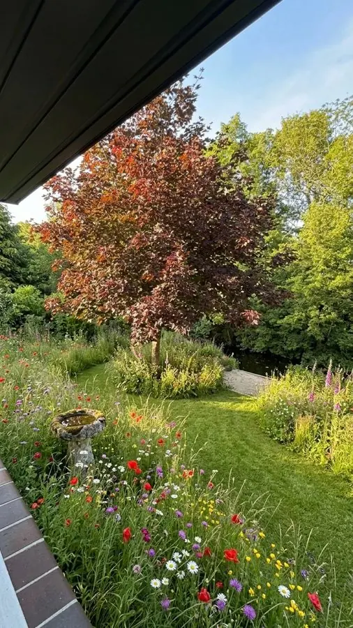 Artificial grass under a copper beech replaced with a wildflower border and a bird bath, redesigned with the app