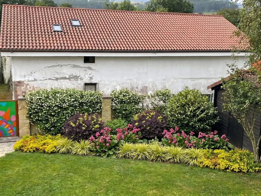 A bare strip below a white wall planted with evergreen shrubs and pink flowers, redesigned with the app