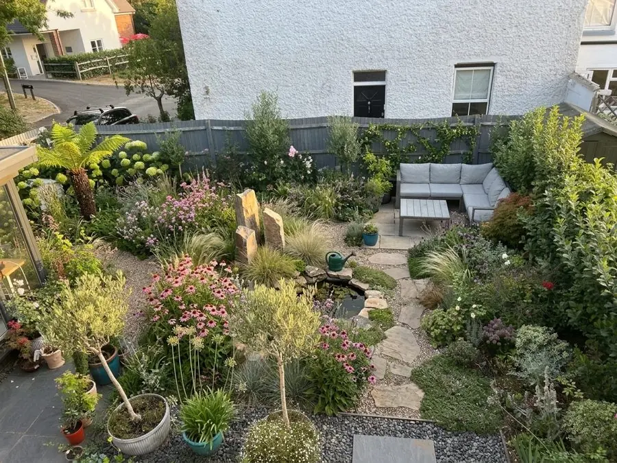 Coneflowers, grasses and a small pond, a planting design made with the app