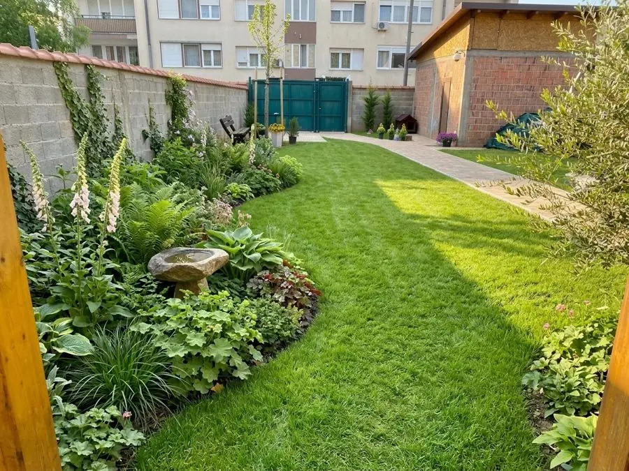 A curving lawn with a border of foxgloves, ferns and hostas along a wall, a landscape design made from a photo