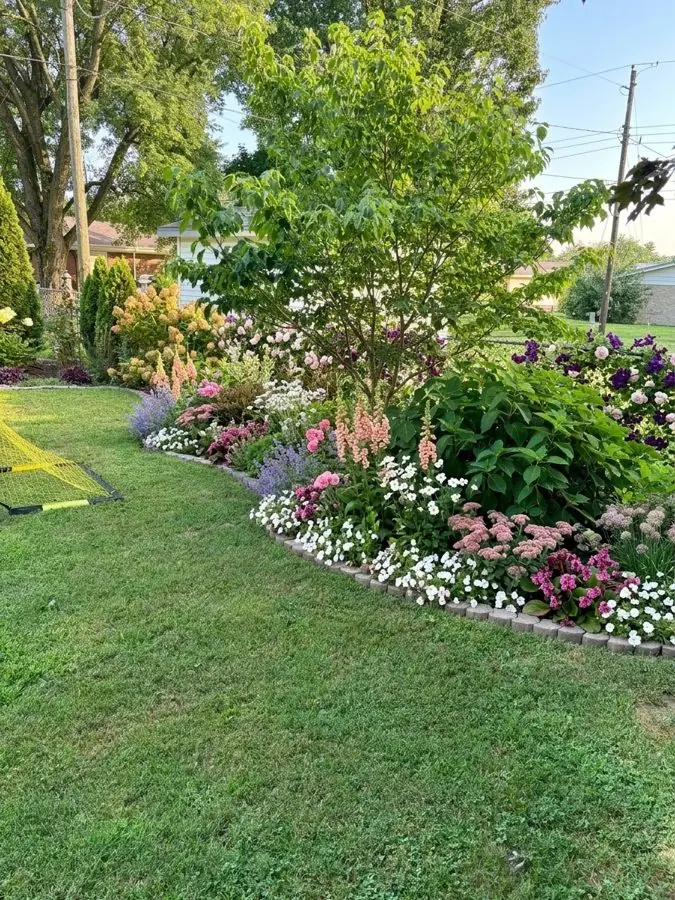 A curving lawn edge with a bed of pink astilbes and white flowers under a young tree, redesigned with the app