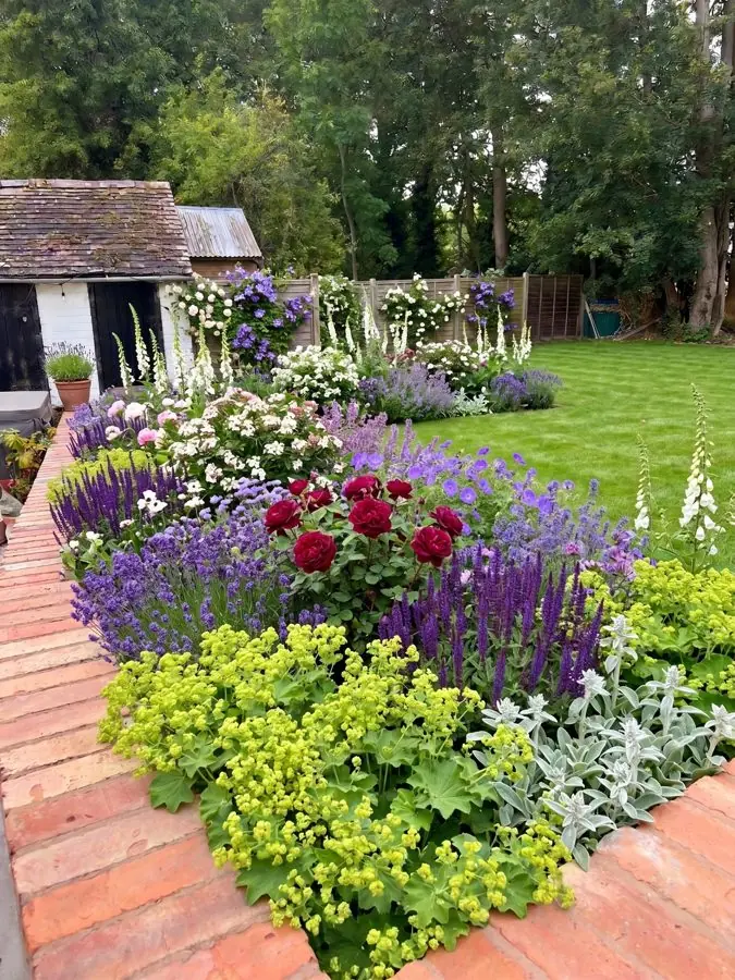 A dug bed beside a brick path packed with salvias, roses and lady's mantle, an idea for an overgrown garden