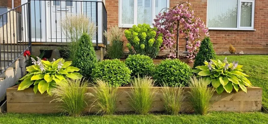Empty raised bed under a window filled with hostas and grasses, designed with the app