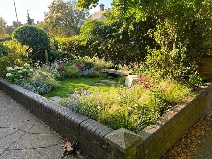 Feather grass and catmint round a front lawn, a flower bed designed with the app