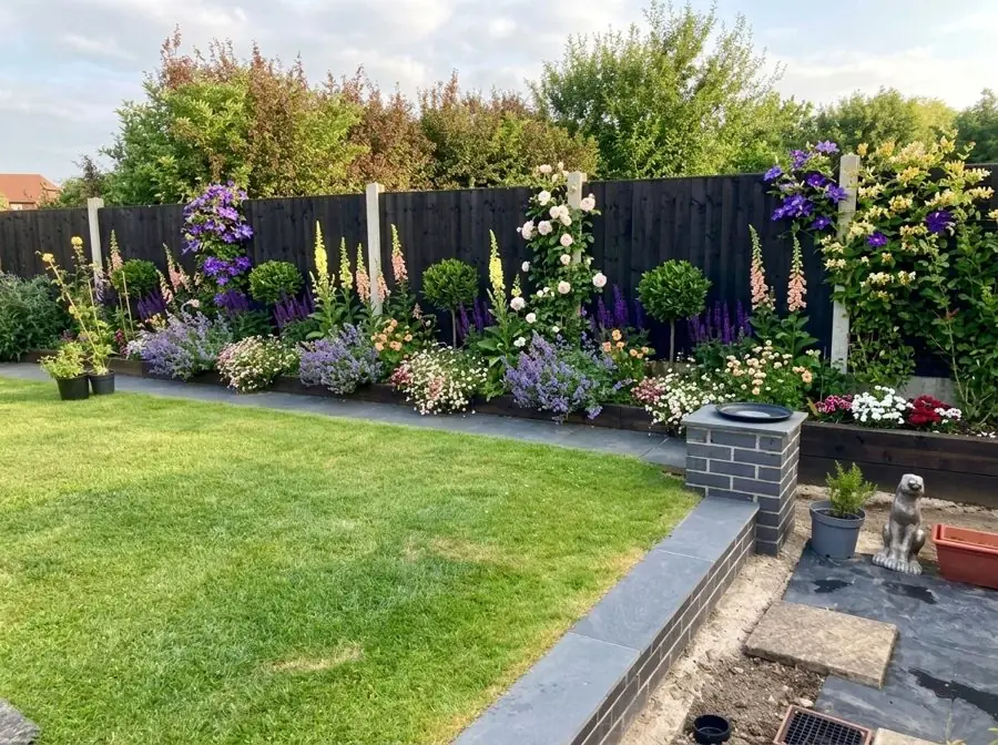 A fence border beside a lawn, replanted with clematis, foxgloves and roses, redesigned with the app