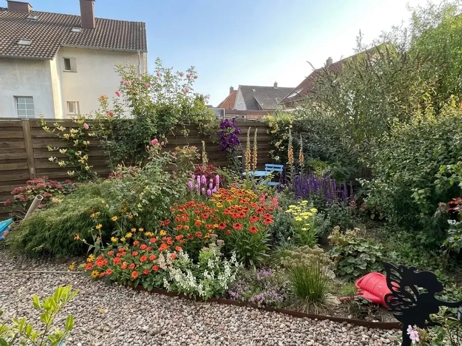 Gravel bed filled with heleniums, salvias and foxgloves, a flower bed designed with the app