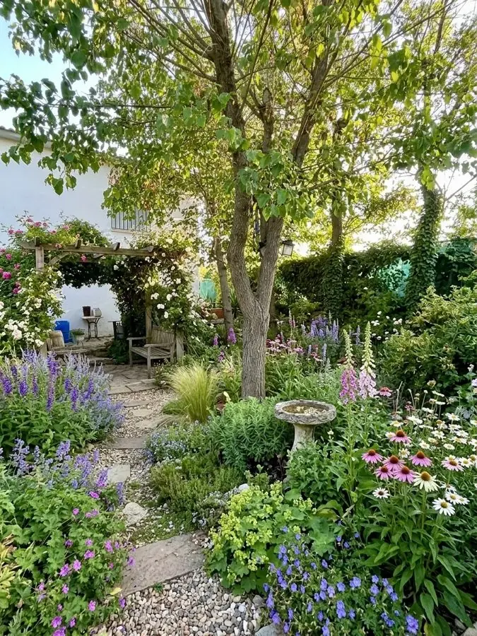 A gravel path past foxgloves, an idea for an overgrown garden