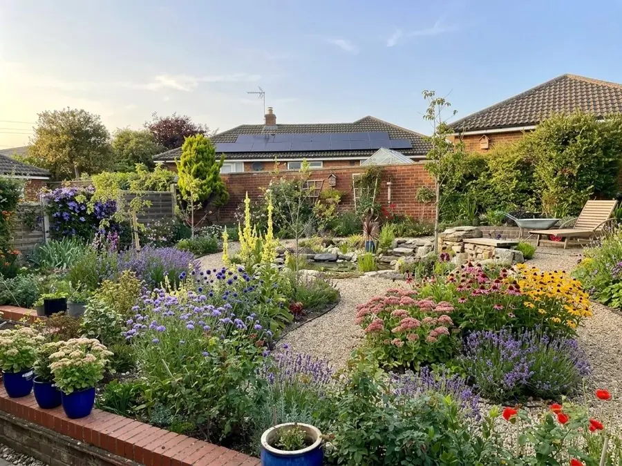 Gravel paths through lavender, sedums and rudbeckia, designed with the app