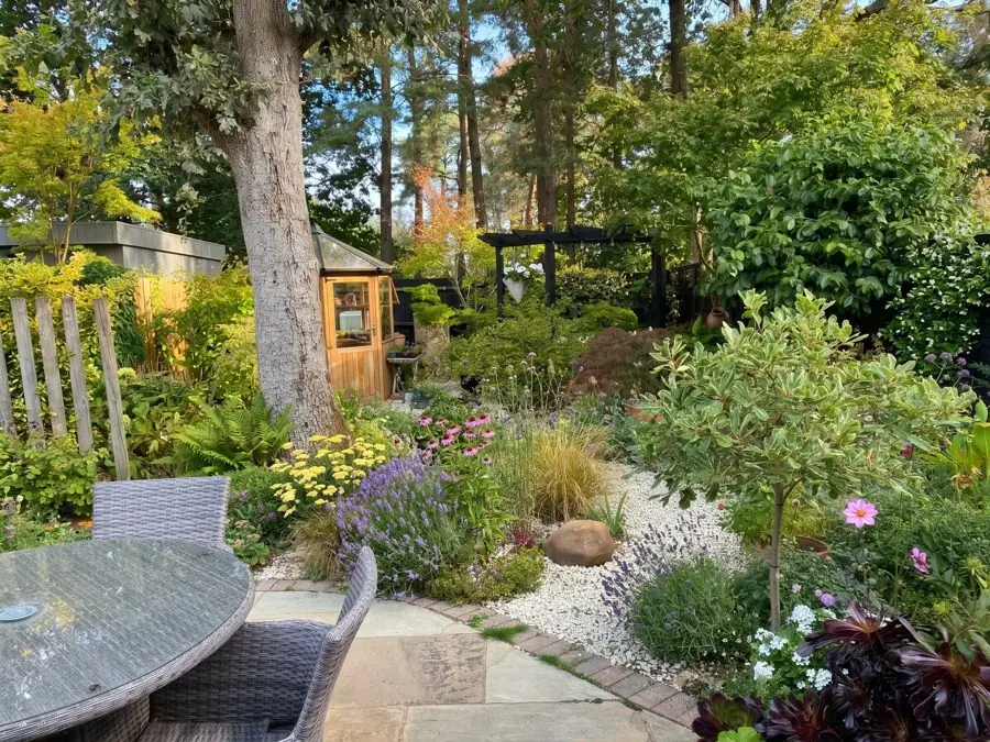 Gravel and stones round a tall pine, with pink and purple flowers for bees, a flower bed designed with the app