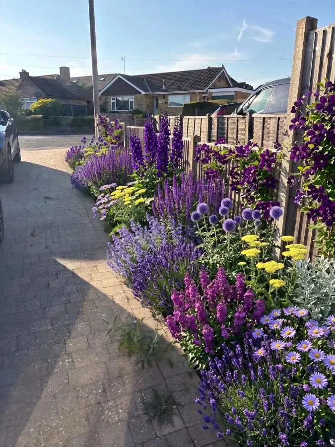 A long border, a flower bed designed with the app