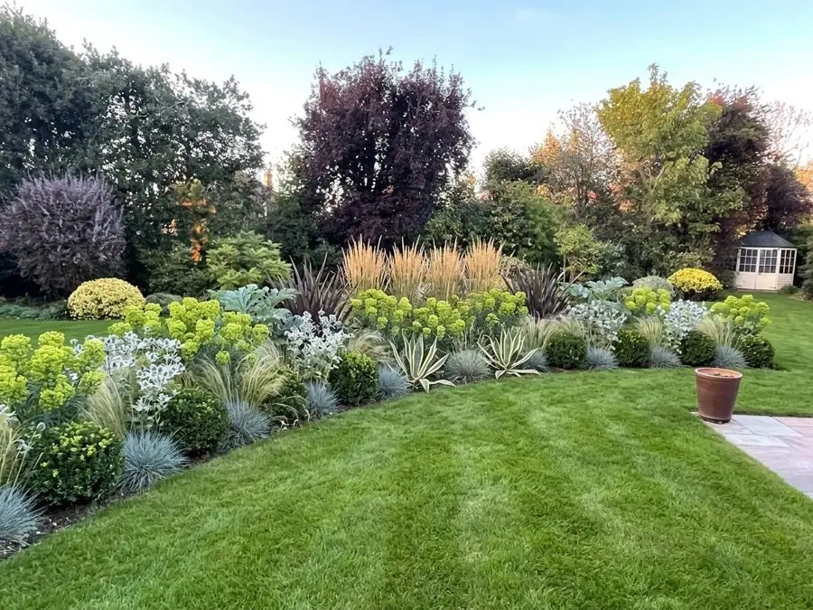 A lush lawn with a new border of euphorbias, grasses and silver leaves, redesigned with the app