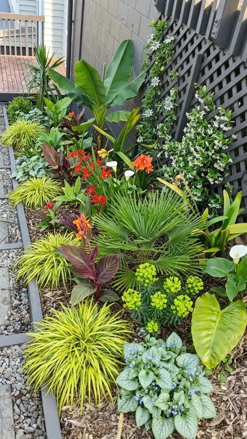 A narrow bed along a trellis fence planted with orange cannas, calla lilies and golden grass, a flower bed designed with the app