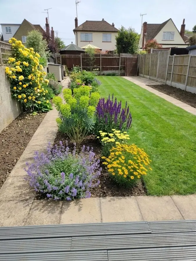 A narrow lawn with a new border of catmint, salvias and yellow daisies, redesigned with the app