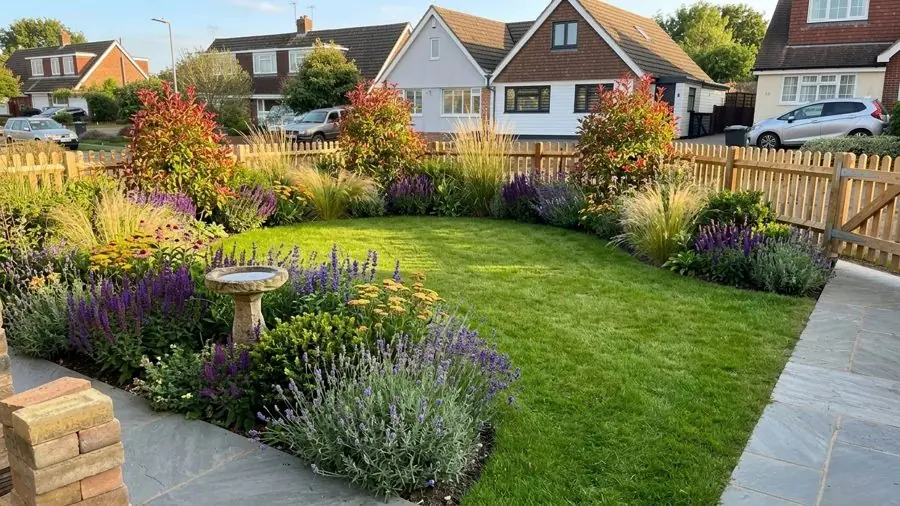 A new lawn inside a picket fence, edged with lavender, salvias and grasses, a flower bed designed with the app