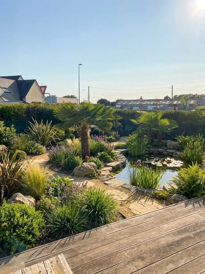 Palms and grasses round a small pond, seen from the deck, a planting design made with the app