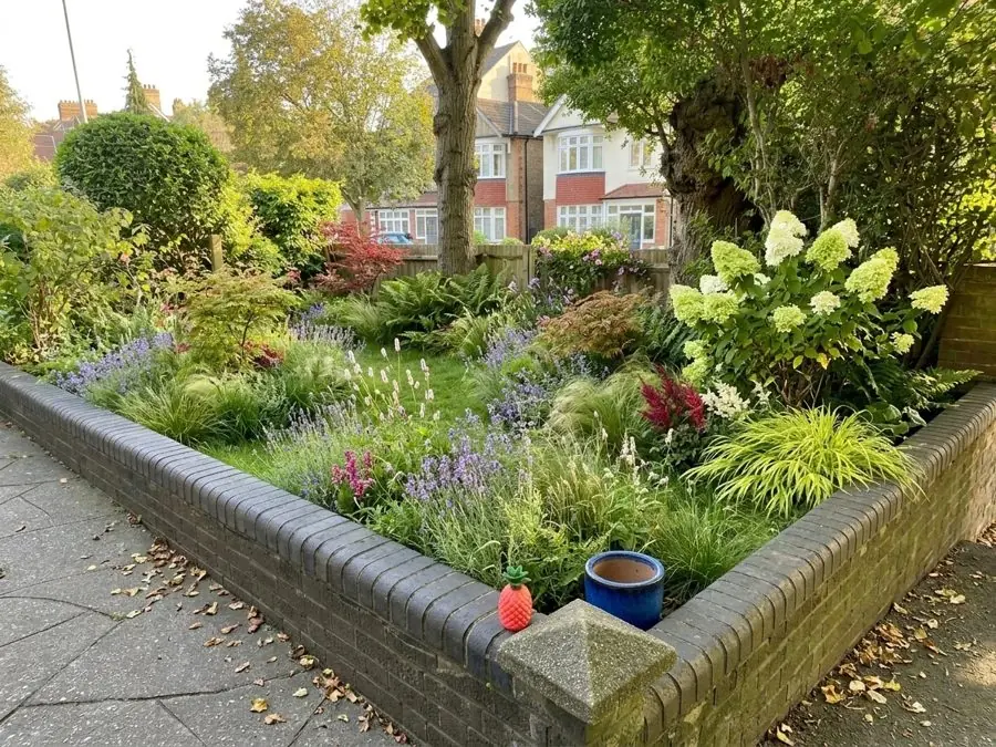 A raised front bed behind a brick wall, packed with grasses, a white hydrangea and purple flowers, designed with the app