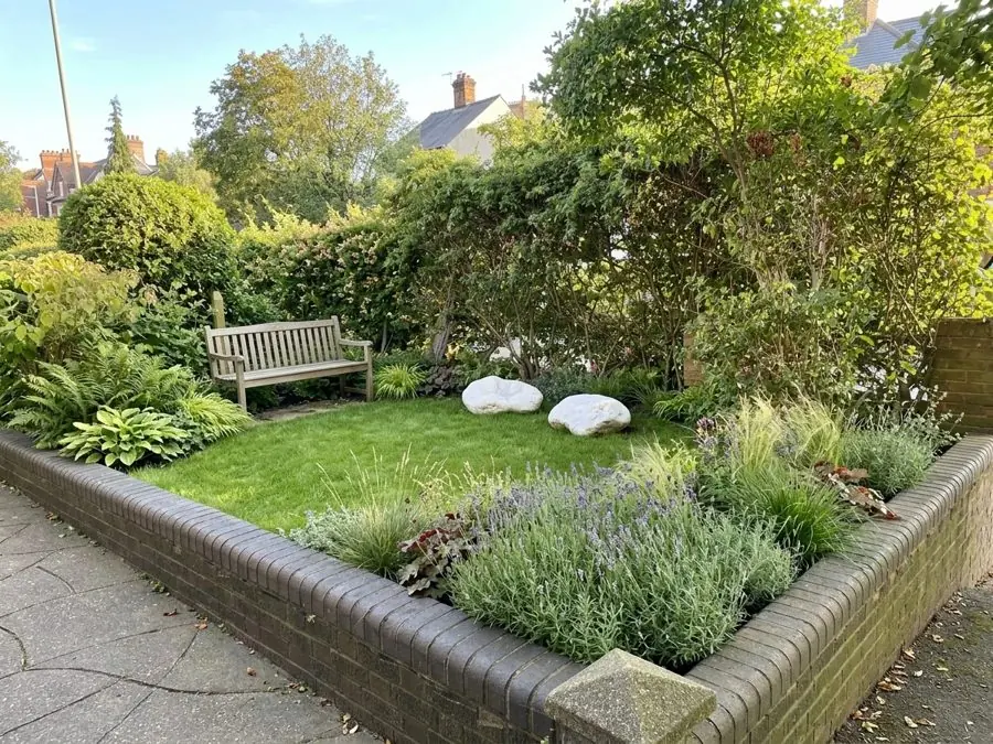 A raised front bed of lavender and grasses round a small lawn and a bench, a low maintenance garden idea