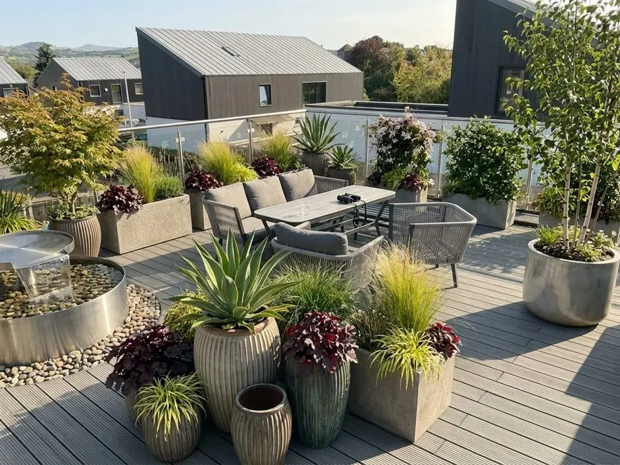 Roof terrace of pots, grasses and an acer, a patio garden idea