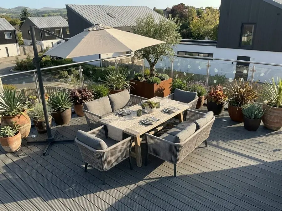 A roof terrace of pots, with an olive, agaves and cordylines round a dining table, planned with the garden planner app