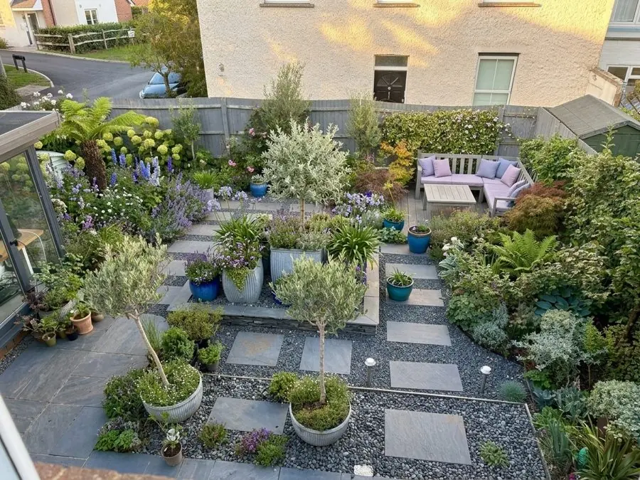 Slabs in pebbles, olives in pots and a corner sofa, a garden layout planned with the app