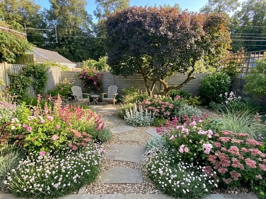 A stepping stone path through sea thrift, sedum and lamb's ears, a planting design made with the app