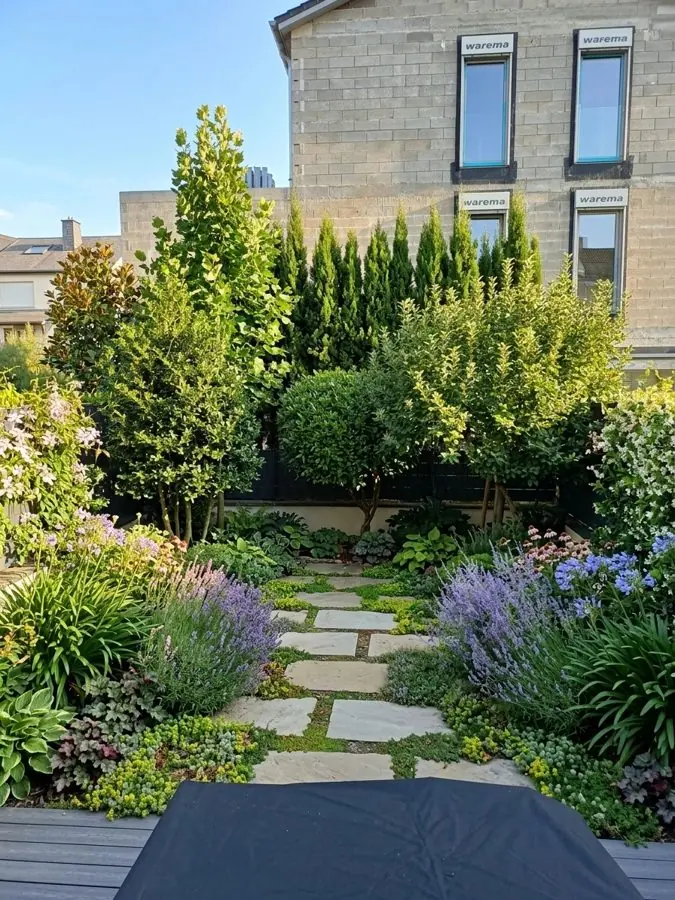 Stepping stones through lavender and grasses below a row of tall evergreens, a planting design made with the app
