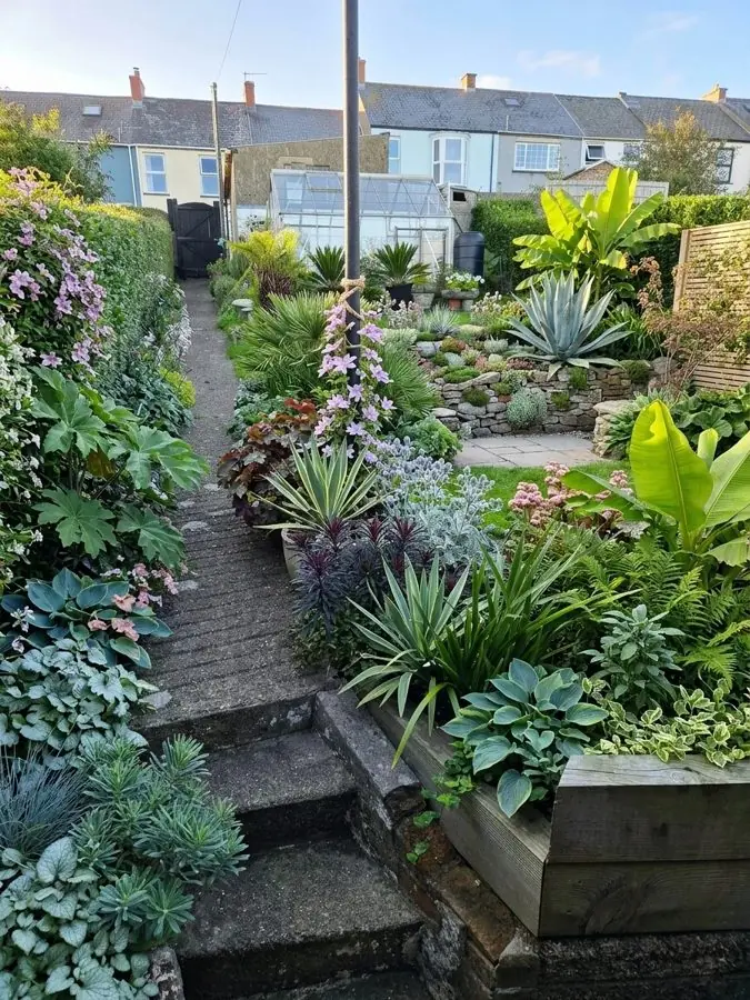Steps beside raised sleeper beds of agaves, hostas and big leaved plants, designed with the app
