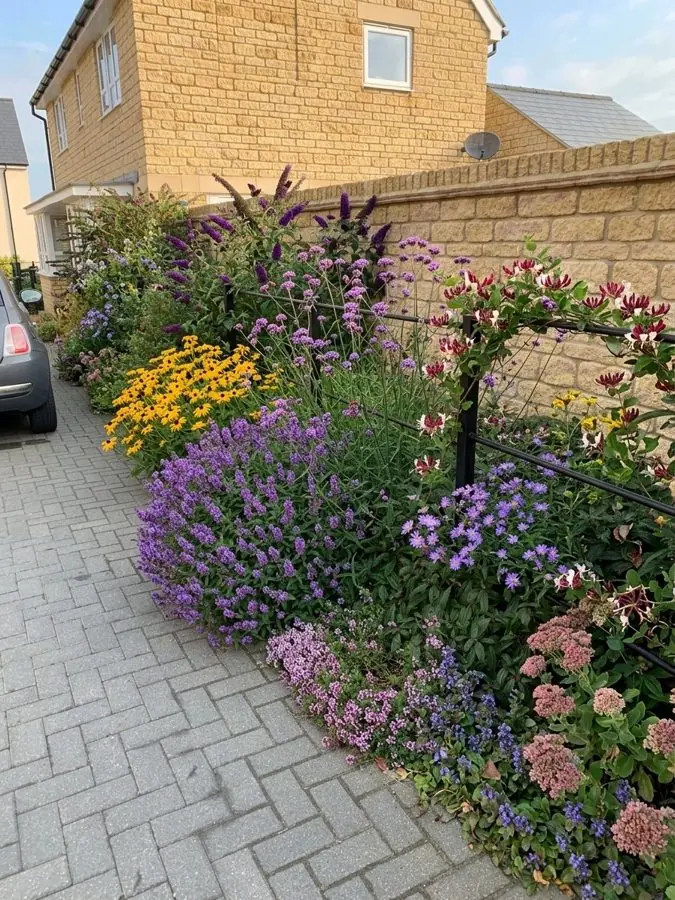 A strip beside the drive packed with lavender, rudbeckia and flowers for bees, a flower bed designed with the app