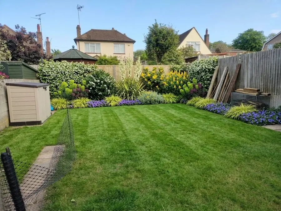 A striped lawn with a deep border along the back, an evergreen garden idea